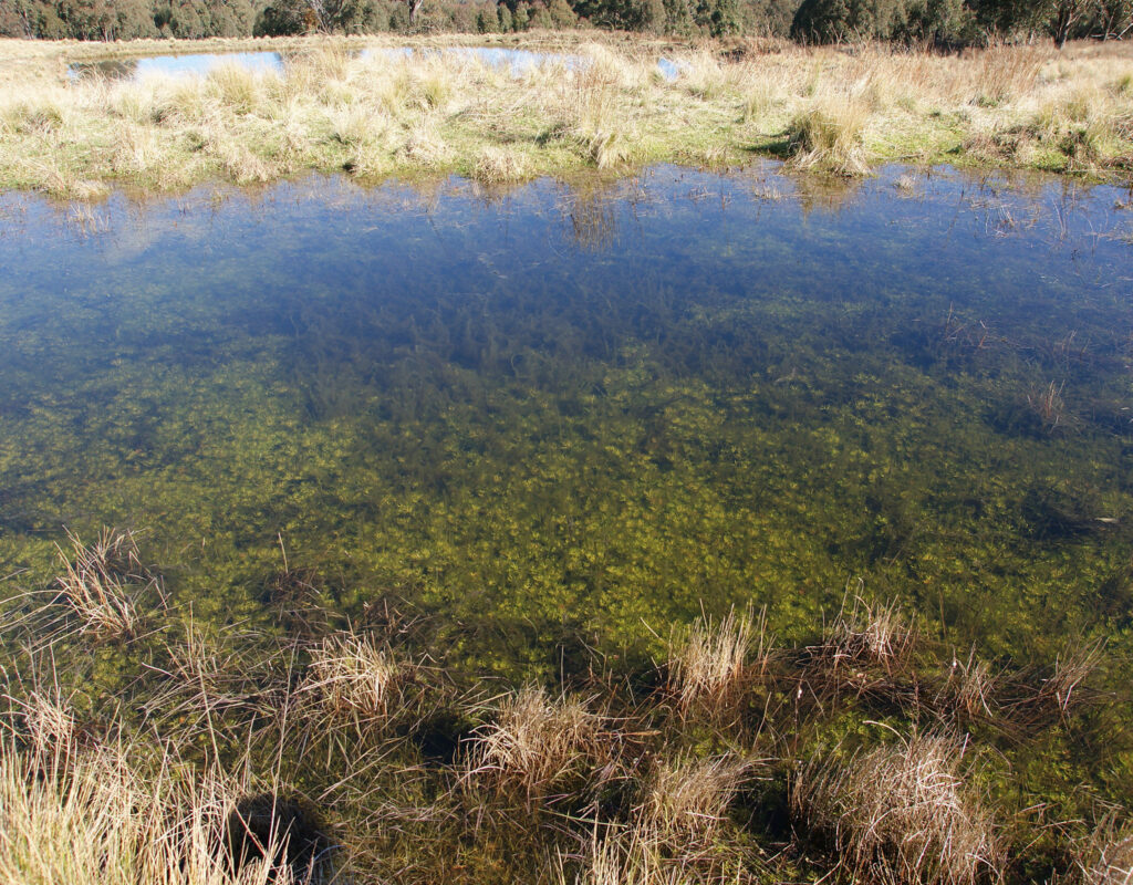 202510_Blog_SpringRunsClear_Hero_2400x1600_v01