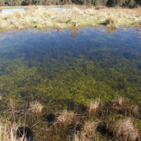 202510_Blog_SpringRunsClear_Hero_2400x1600_v01 