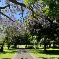 70E0EED6-FEB3-4BC1-BEA2-E900DCBFCC25_1_105_c 