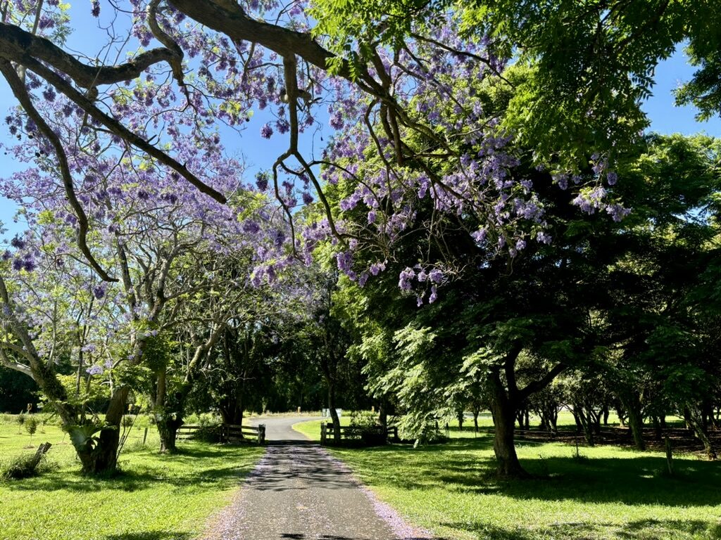 70E0EED6-FEB3-4BC1-BEA2-E900DCBFCC25_1_105_c