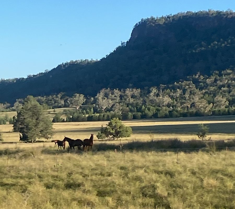 WhatsApp Image 2026-02-16 at 21.50.13