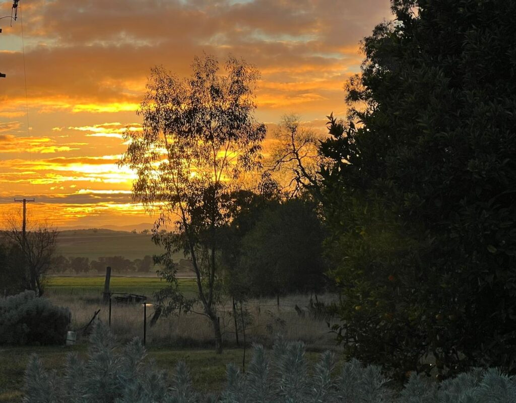 WhatsApp Image 2026-02-16 at 21.51.44