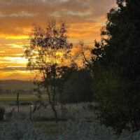 WhatsApp Image 2026-02-16 at 21.51.44 