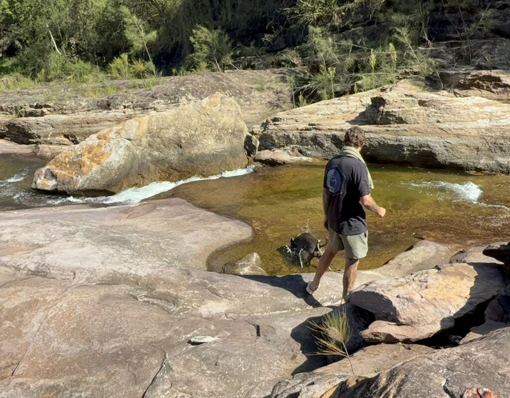 WhatsApp Image 2026-02-23 at 10.14.05 AM