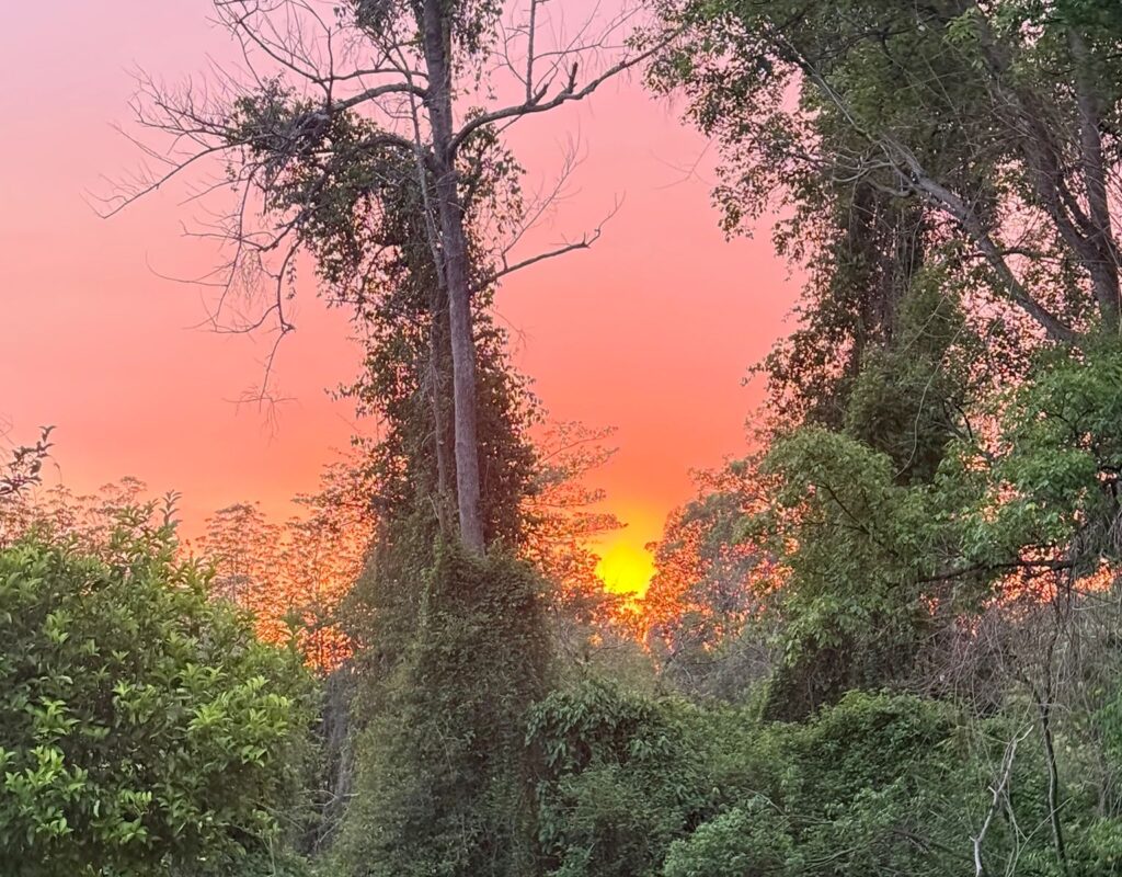 WhatsApp Image 2026-02-23 at 10.14.13 AM (1)