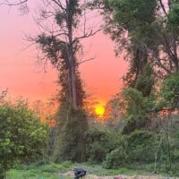 WhatsApp Image 2026-02-23 at 10.14.13 AM (1) 