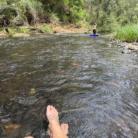 WhatsApp Image 2026-02-23 at 10.14.13 AM 