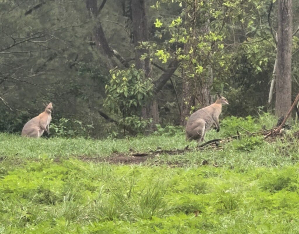 WhatsApp Image 2026-02-23 at 10.32.20 AM