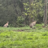 WhatsApp Image 2026-02-23 at 10.32.20 AM 