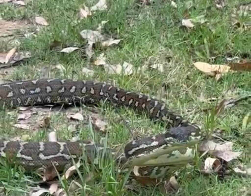 WhatsApp Image 2026-02-23 at 10.32.21 AM