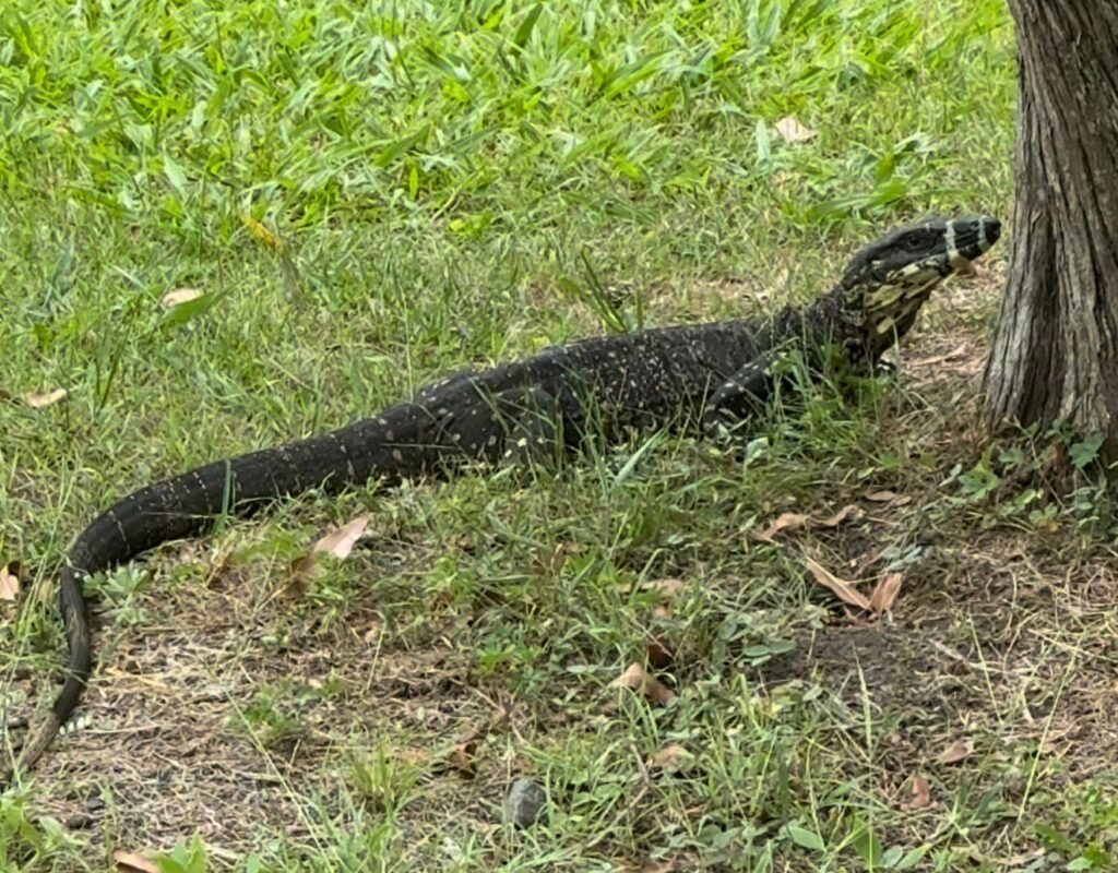 WhatsApp Image 2026-02-23 at 10.32.21 AMm