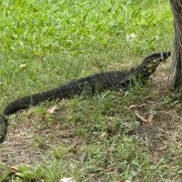 WhatsApp Image 2026-02-23 at 10.32.21 AMm 