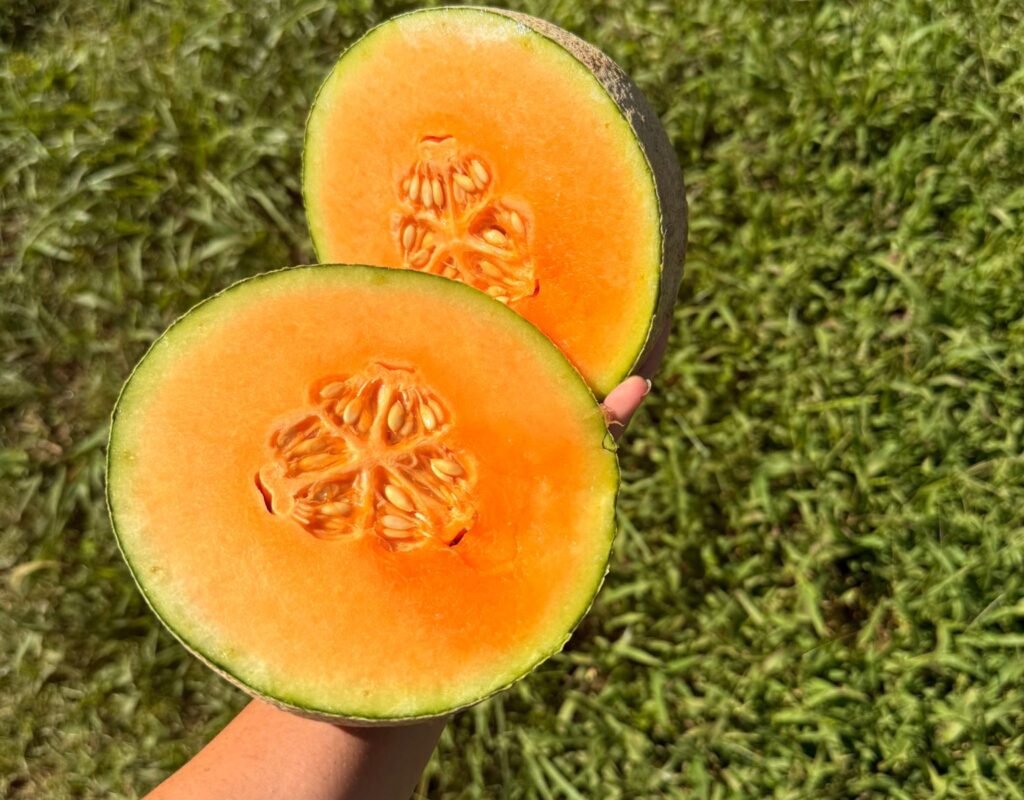 WhatsApp Image 2026-02-23 at 10.33.55 AM