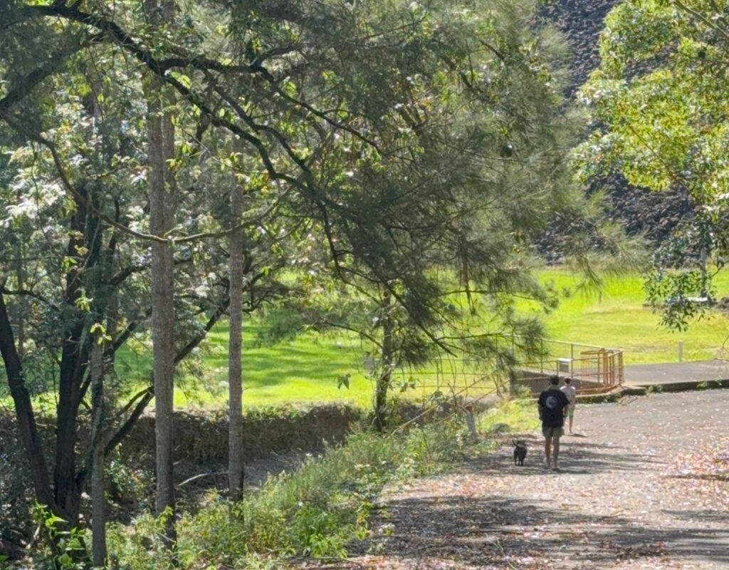 WhatsApp Image 2026-02-23 at 10.33.56 AM