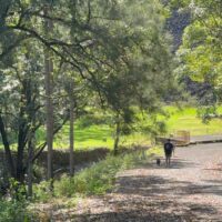 WhatsApp Image 2026-02-23 at 10.33.56 AM 