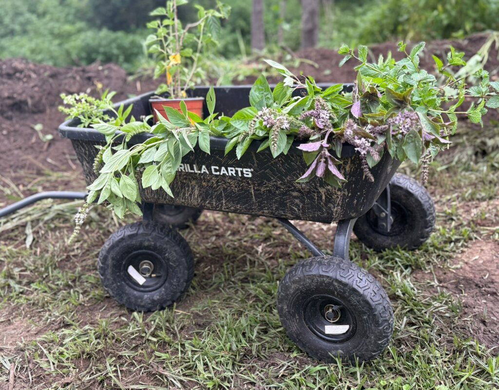 WhatsApp Image 2026-02-23 at 10.33.57 AM (1)