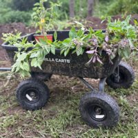 WhatsApp Image 2026-02-23 at 10.33.57 AM (1) 