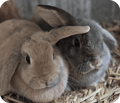 0ffdfea5bda50d5e42735ed73bdc06dc