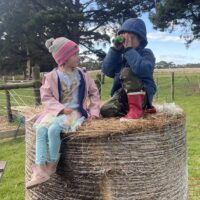 449330197_699755178958319_6441860786611193759_n 