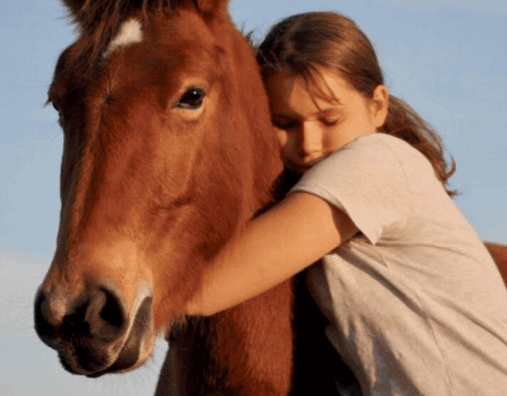 9b3ef2b81f8c902348a6d41bd8bca7dc