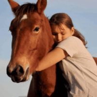 9b3ef2b81f8c902348a6d41bd8bca7dc 