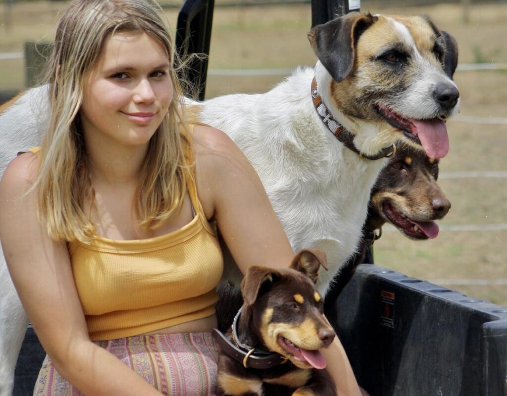 Maisy with the farm dogs
