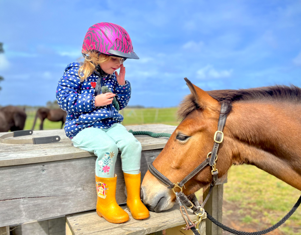 Screenshot 2026-03-04 at 7.49.02 pm