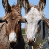 c3172dc201bf51cf9931d7d1b0a18ece 