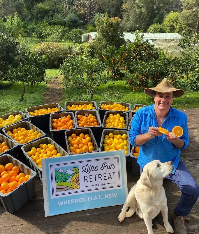 citrus pickings
