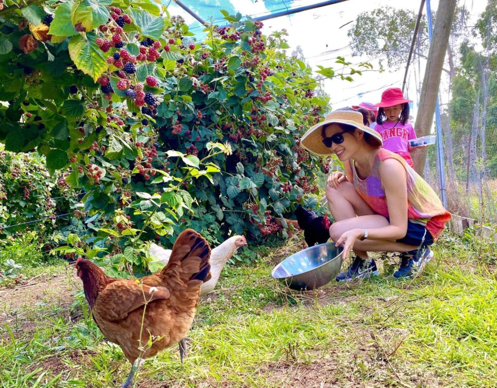 Berry picking
