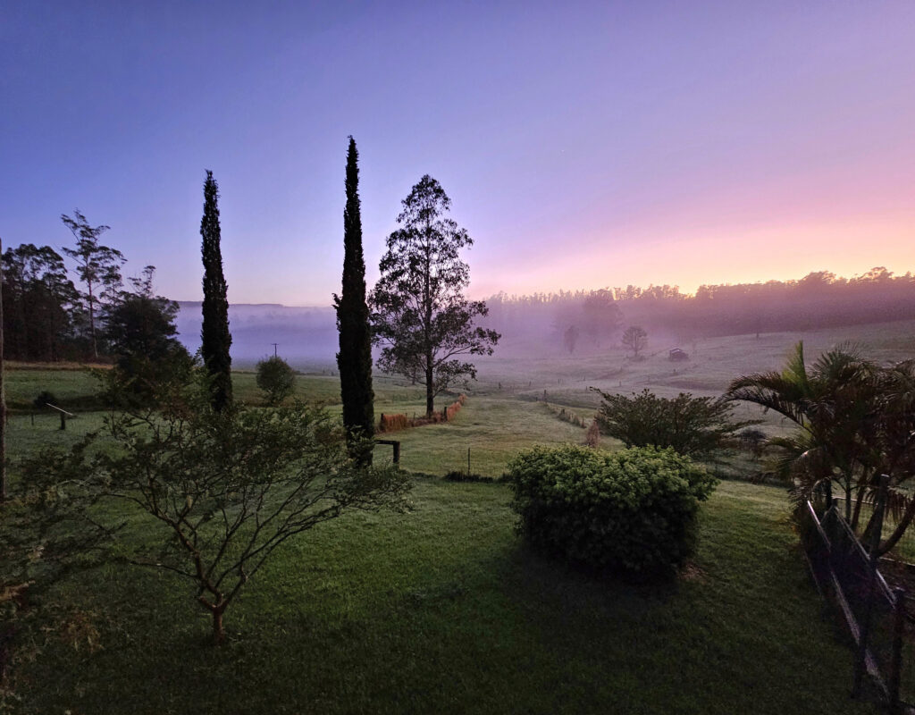 20231127_051934 (002)