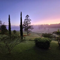 20231127_051934 (002) 