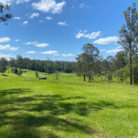 wallaby meadows 