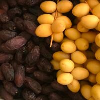 dates 