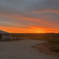 IMG_9808 