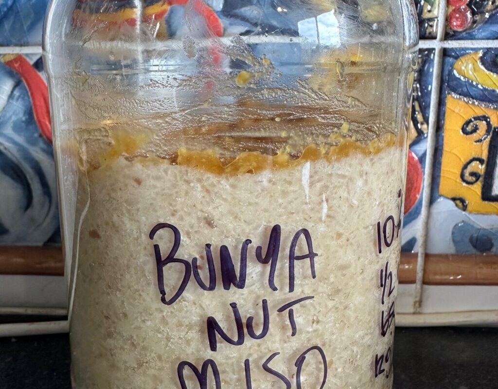 finished bunya nut miso