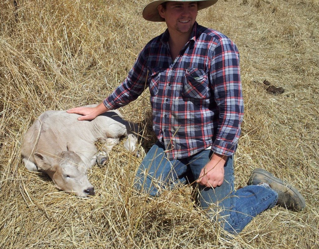 Chad & first charolais calf