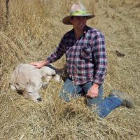 Chad & first charolais calf 