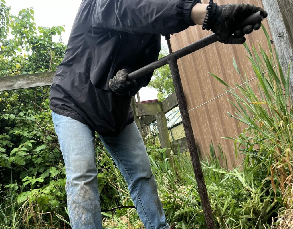 Wwoofer helping to construct raised garden bed.