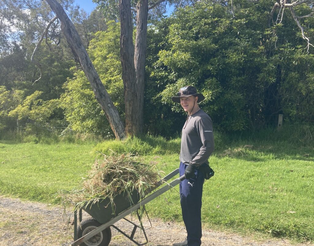 Taking weeds to compost.