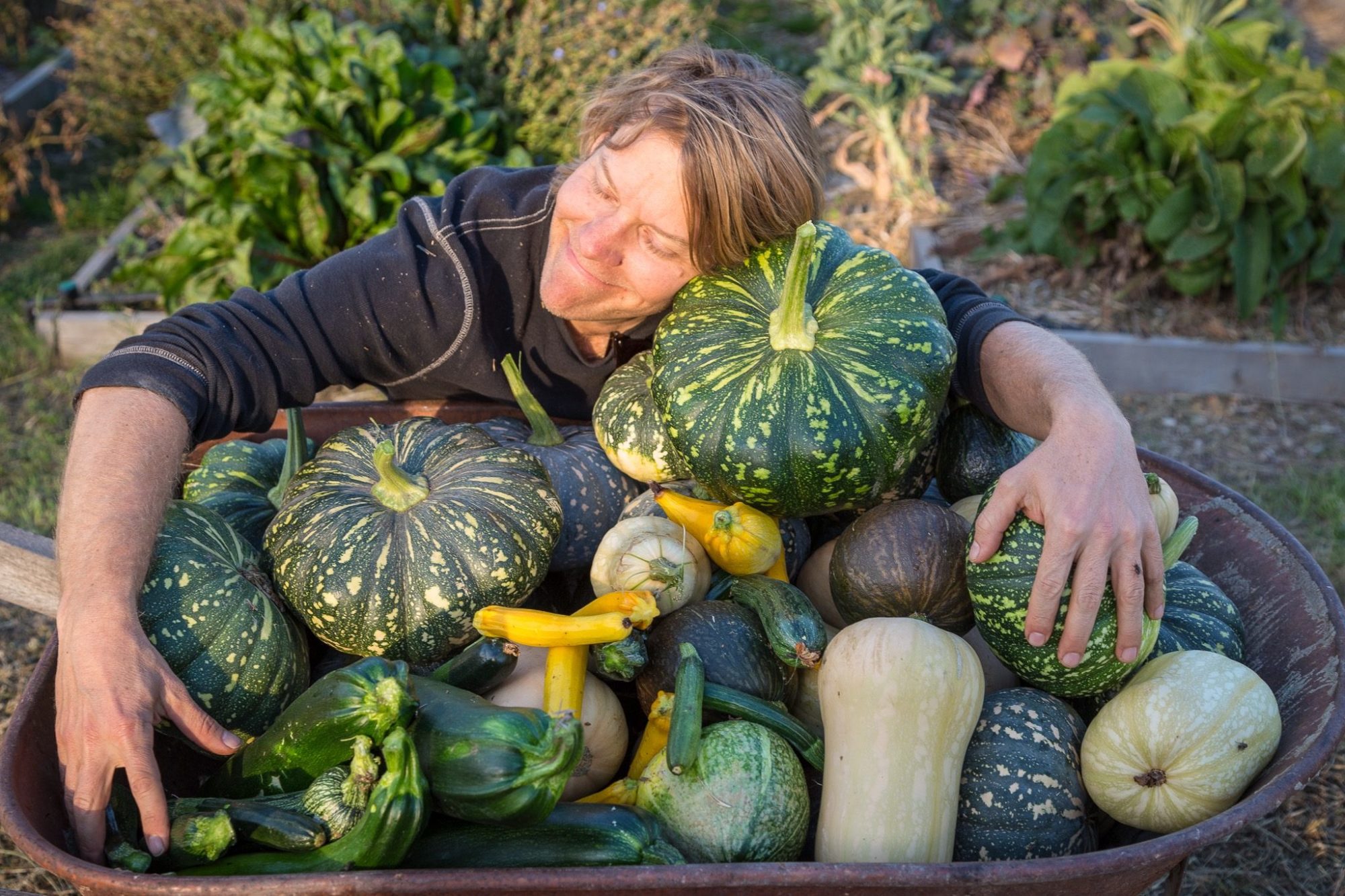 Organic Vs Conventional Crops Crops