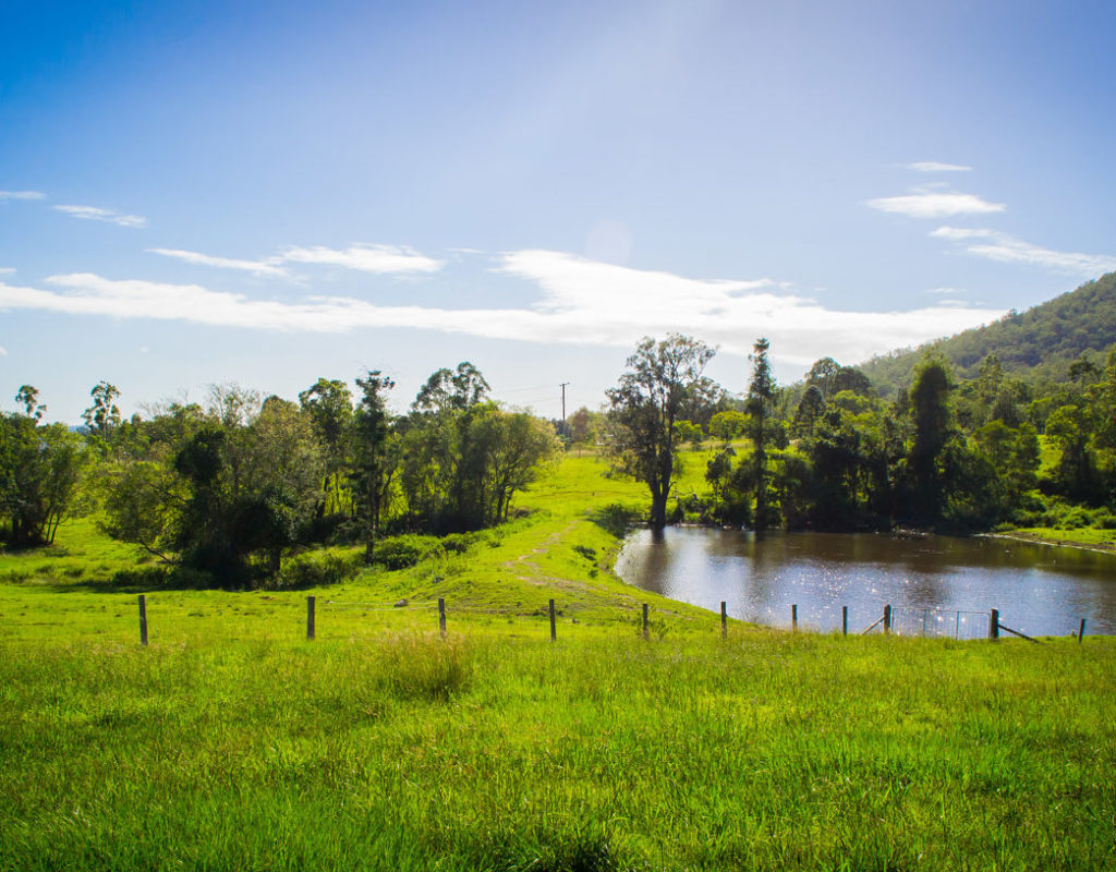 Langano farm – dam
