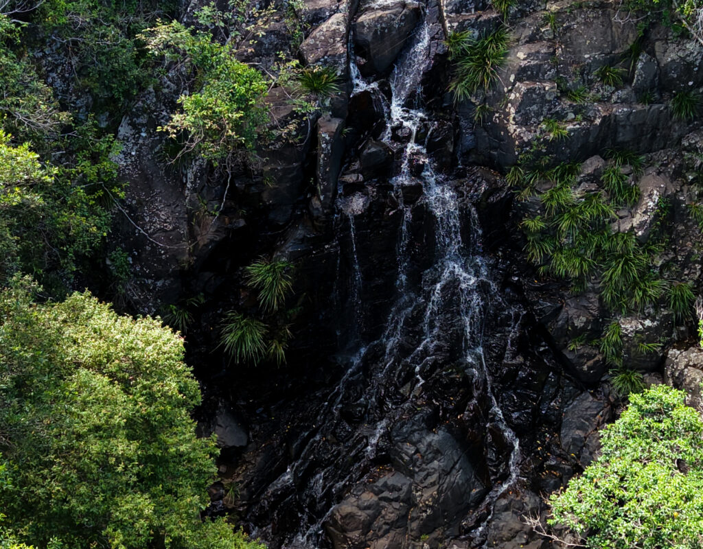 DJI_20241225145833_0016_D