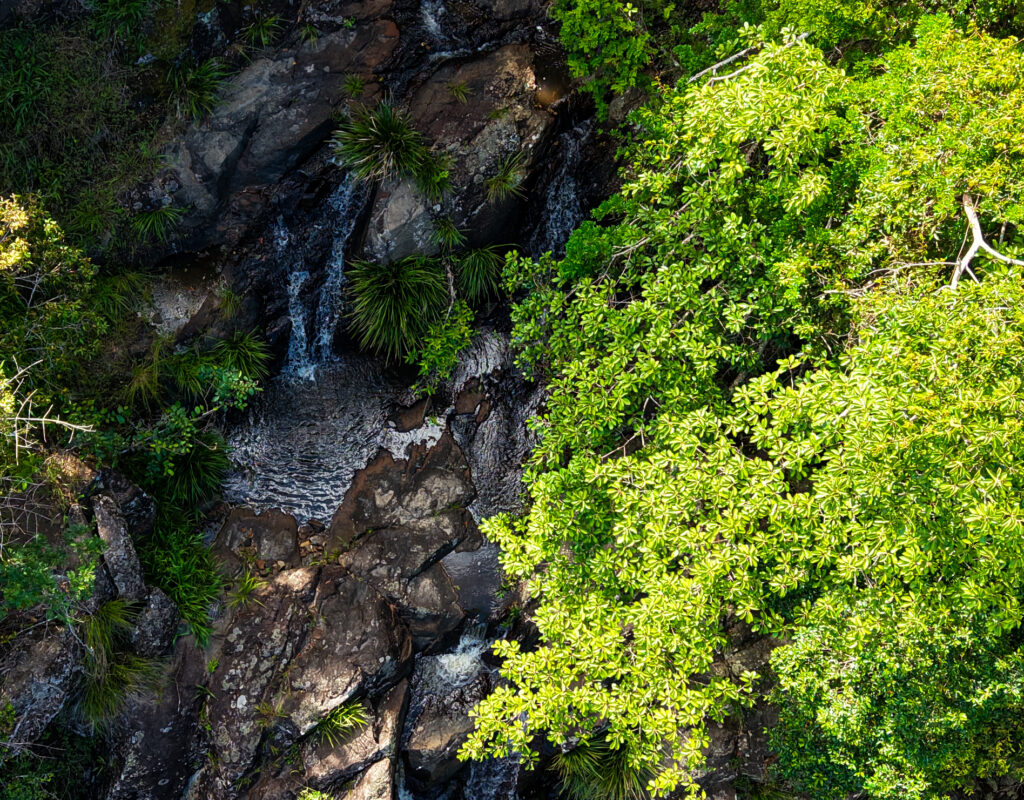 DJI_20241225150010_0019_D