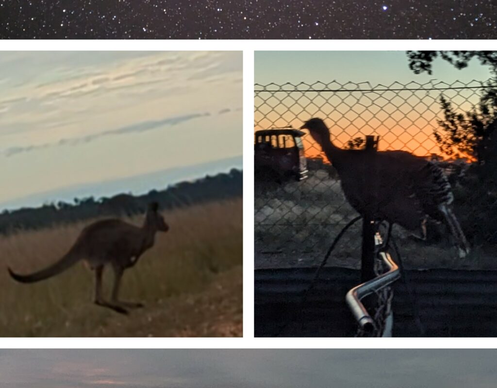 20250617_190448-COLLAGE