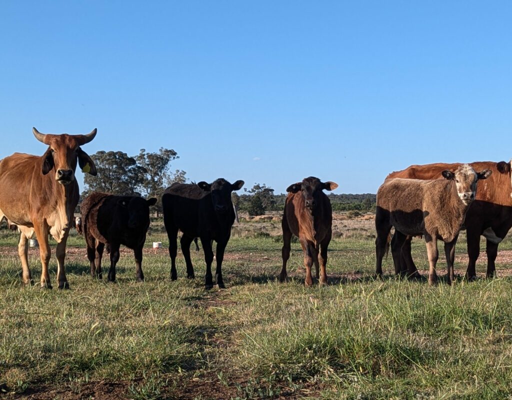 PXL_20240919_065257179