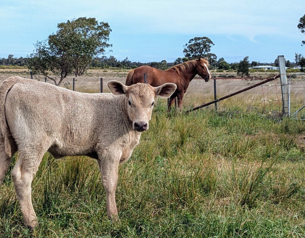 PXL_20241015_060034894