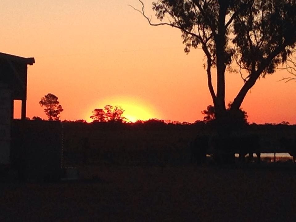 gallery_57975_196_27640