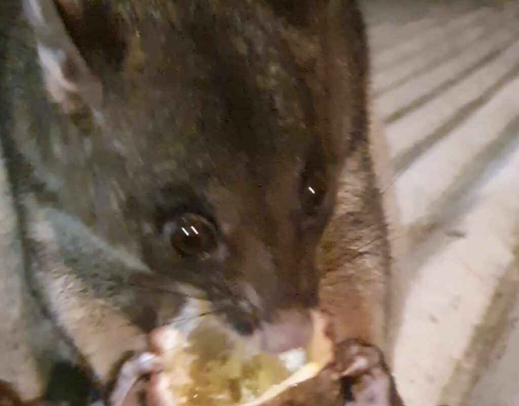 Screenshot_20240328-194024_Gallery