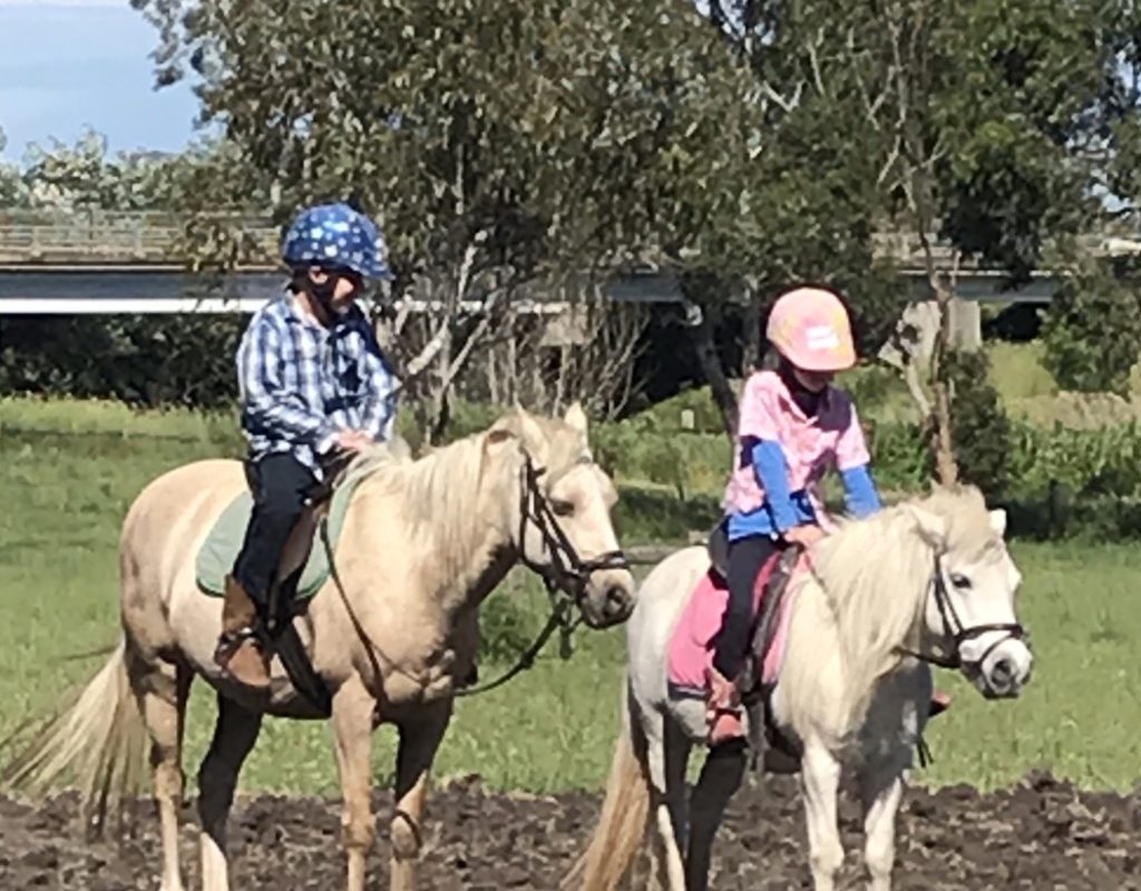 86393FEA-0F21-4CD0-80DE-68B478094DDF